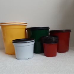 Planting Pots         Colors