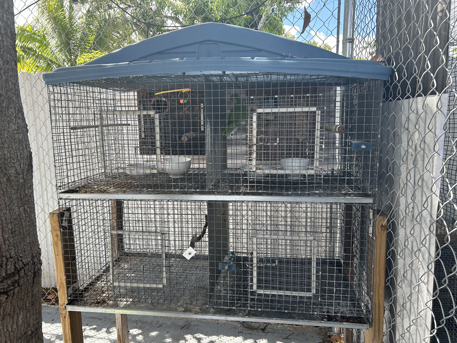Bird / Parrot Cage 