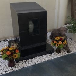 ๐ค Custom Black Quartz Monument / Display with Glass /Monumento de Cuarzo Negro con Puerta de Vidrio Door