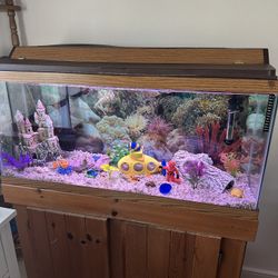 MAKE ME AN OFFER!!! MOVING MUST GO! 29 Gallon Aquarium With Stand