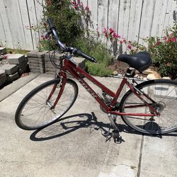 Bike Adult