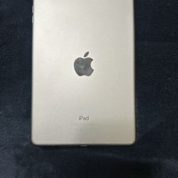 Apple Ipad Mini 