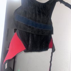 10lb Weighted Vest / Pull up bar ; G C itness gear.