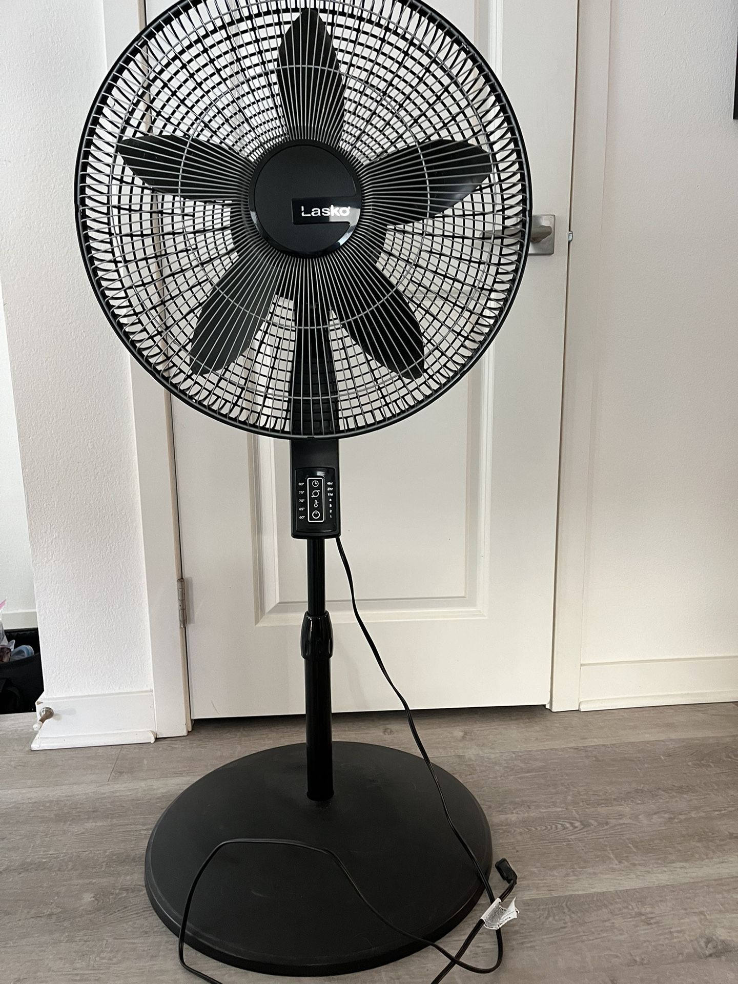 Black Oscillating Temperature Fan