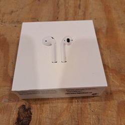 Apple Earbuds 