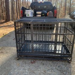 Dog Kennel 