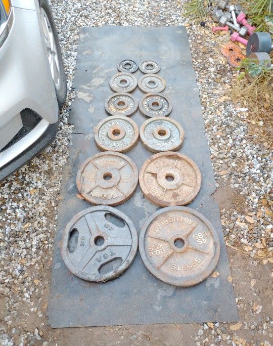 245lbs Olympic Weights