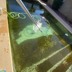 Pool Vacuum
