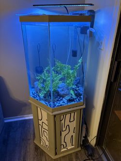 Fish Tank For Sale. Everything Included