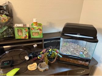 Terrarium and supplies