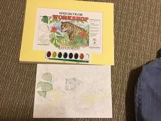 Watercolor Painting Kit