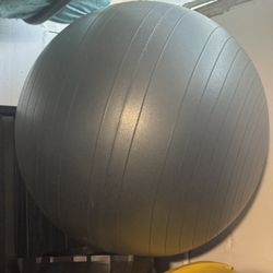 Exercise Ball Large