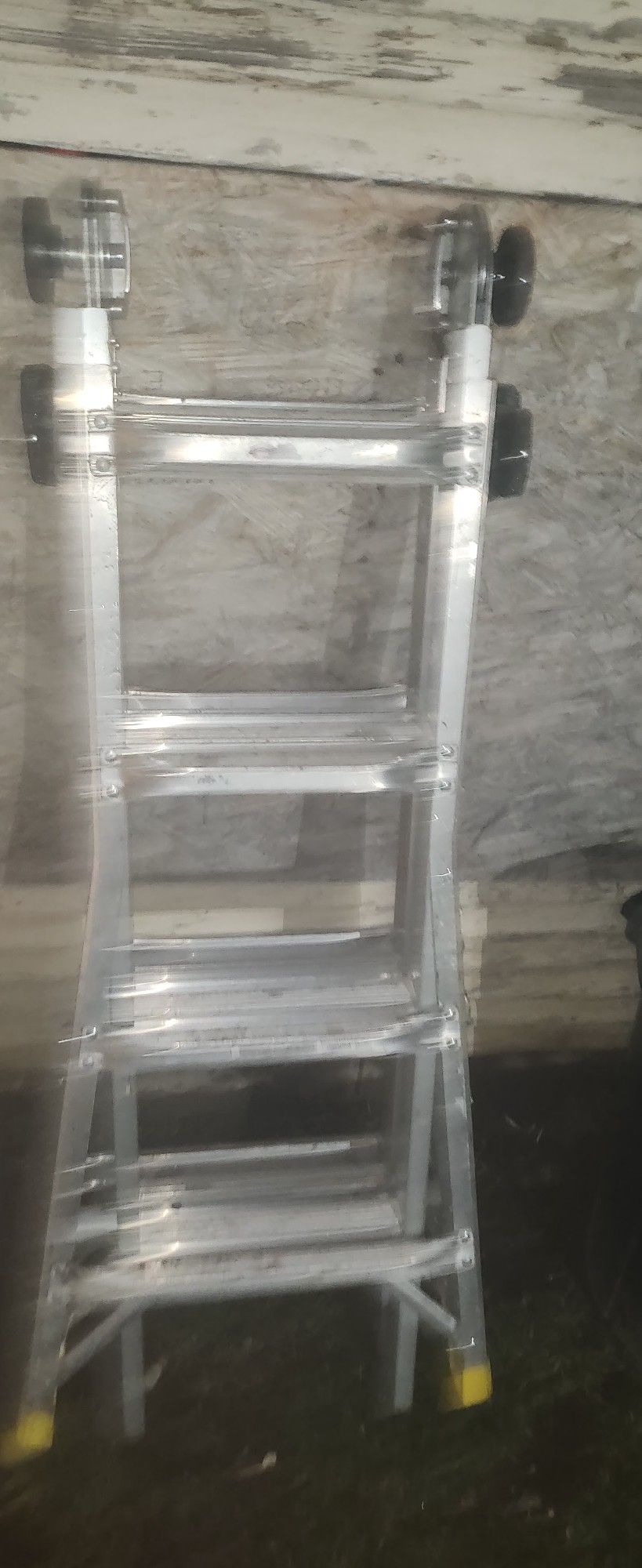 Nice Gorilla ladder