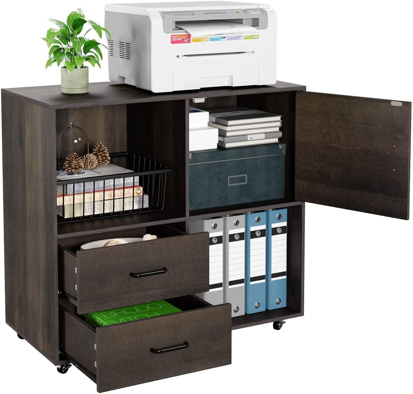 Mobile Lateral File Cabinet with 2 Drawers and Door