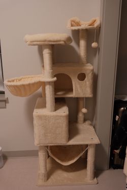 Cat Starter Bundle