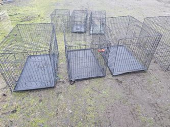 XL Kennel