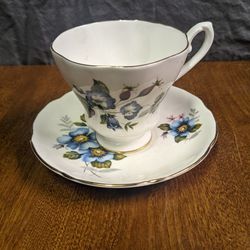 Vintage China Cup And Plate Royal Made In England