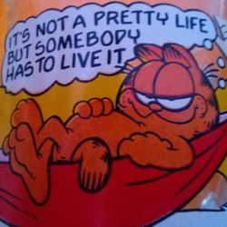 Garfield Cup 