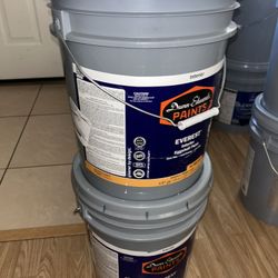 5 Gallon White Paint Buckets 