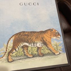 Men Gucci Sneakers 