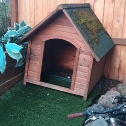 Dog House