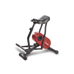 Rodeo Core Horse Exercise Machine tone your abs, back, glutes, and legs