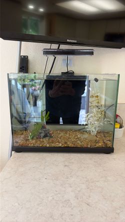 6 gallon aquarium fully equipped
