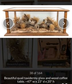 Quail Coffee & Entry way tables camo rustic hunting