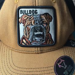 Bulldog Hat 