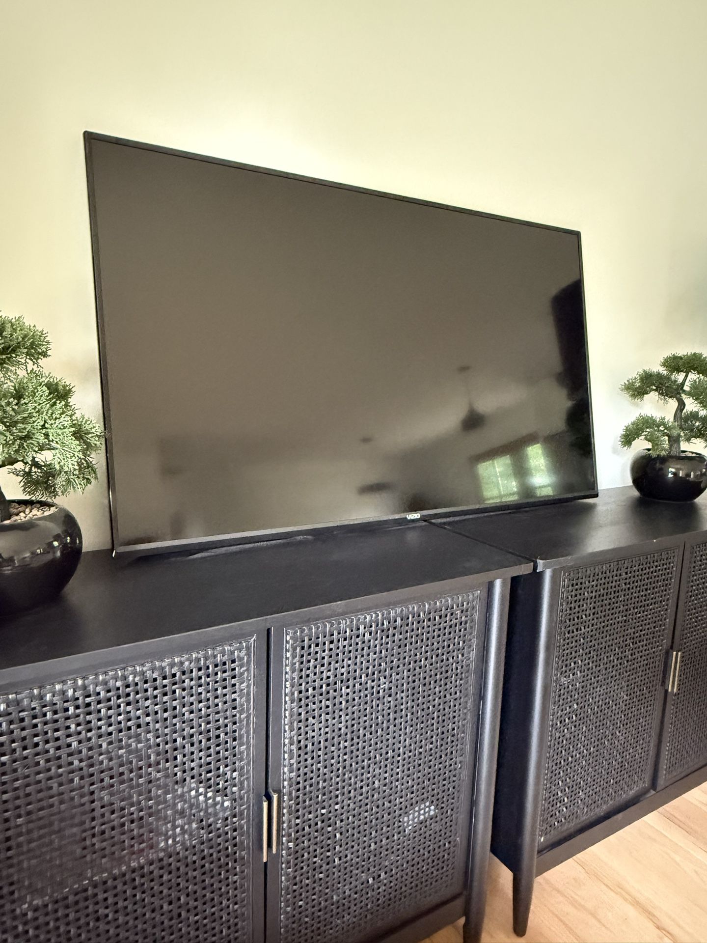 50” Vizio Smart Tv