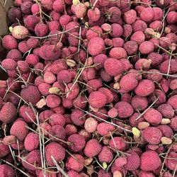 Lychee
