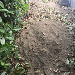 Free Dirt.