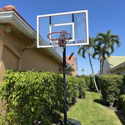 Lifetime Basketball Hoop