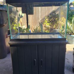 20 Gallon Aquarium 