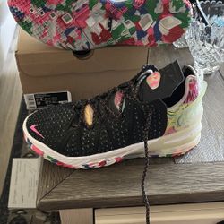 Lebron James 18