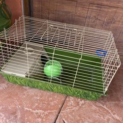 Pet Cage