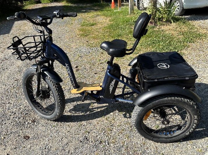AddMotor GRANDTAN M-340 Etrike