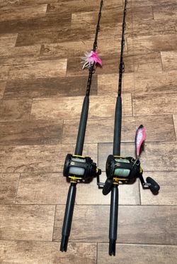 Penn Squall 30VSW paired with Star Rod Ariel Rod