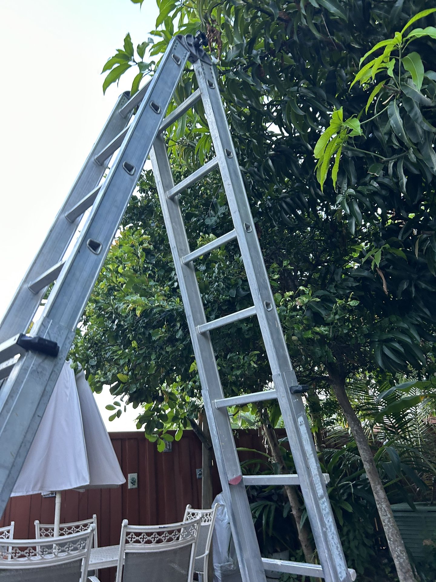 25 Feet Ladder 