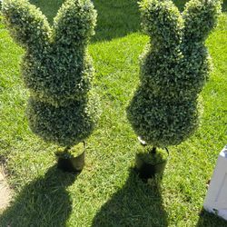 Topiary Bunny Set Of 2