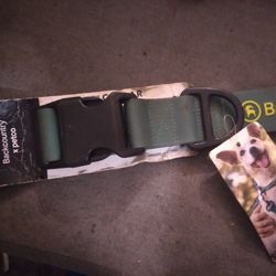 New XXL Dog Collar