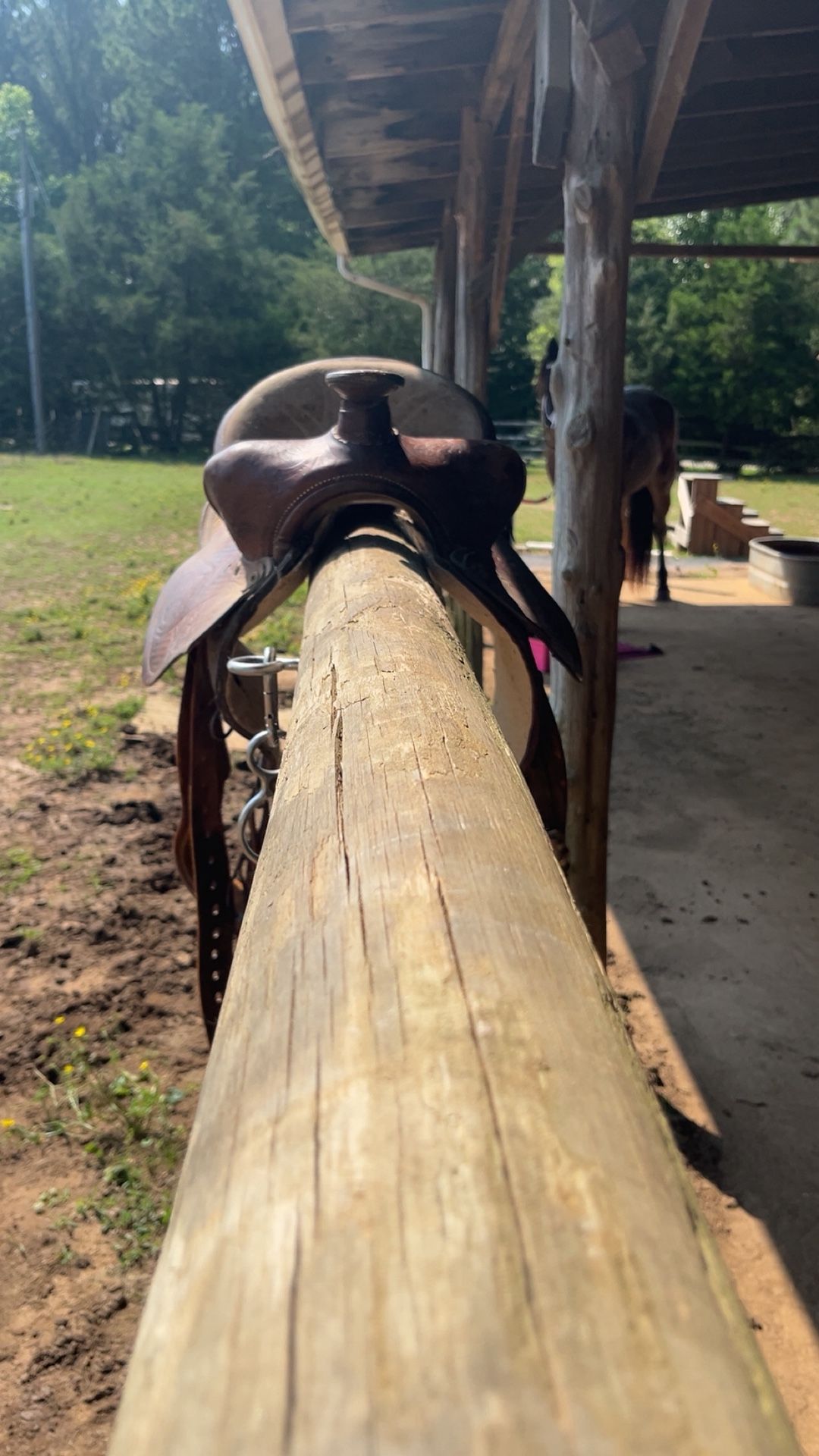 Horse Saddles