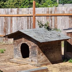 Dog House