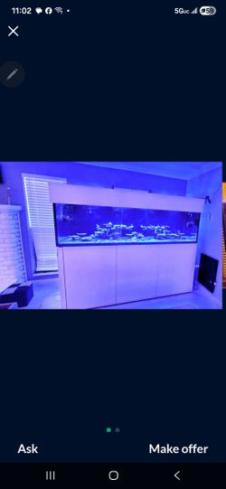 Fish Tank- High End Waterbox Reed LX 320 Rimless 