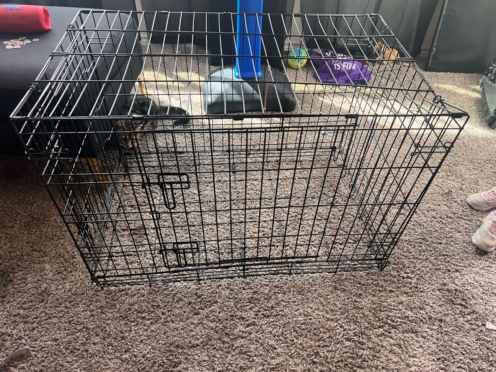 Extra large dog cage