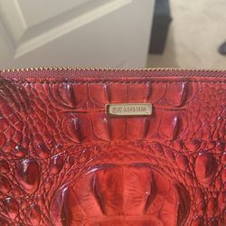 Brahmin Clutch 