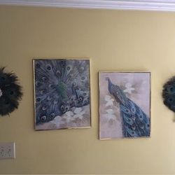 Peacock wall collection - framed art and real feather fans
