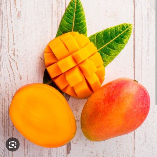 Glenn Mangos Grafted Trees In 3gal Arboles De Mango Glenn Injertado 3gal