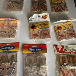 Mouse Traps