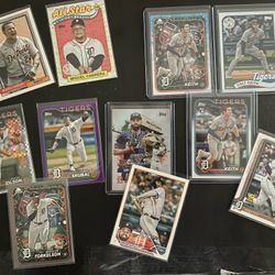 Detroit Tigers Lot